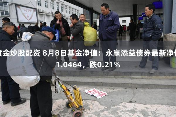 黄金炒股配资 8月8日基金净值：永赢添益债券最新净值1.0464，跌0.21%