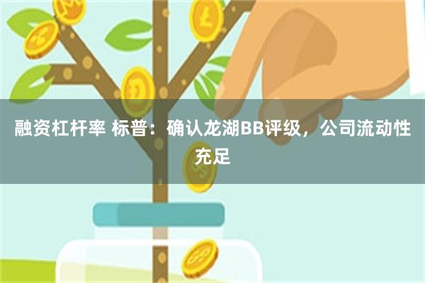 融资杠杆率 标普：确认龙湖BB评级，公司流动性充足