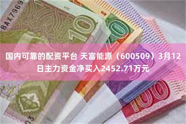 国内可靠的配资平台 天富能源（600509）3月12日主力资金净买入2452.71万元