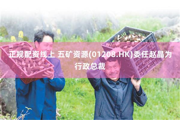 正规配资线上 五矿资源(01208.HK)委任赵晶为行政总裁