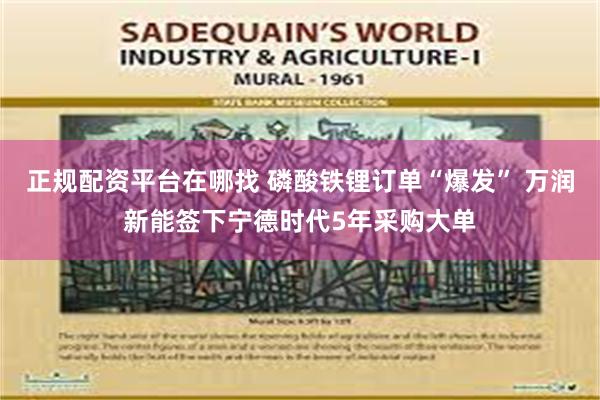 正规配资平台在哪找 磷酸铁锂订单“爆发” 万润新能签下宁德时代5年采购大单