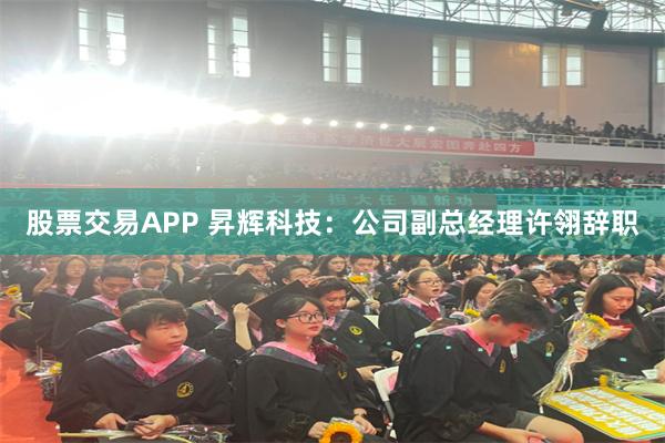 股票交易APP 昇辉科技：公司副总经理许翎辞职