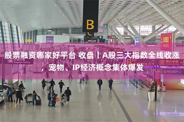 股票融资哪家好平台 收盘丨A股三大指数全线收涨，宠物、IP经济概念集体爆发