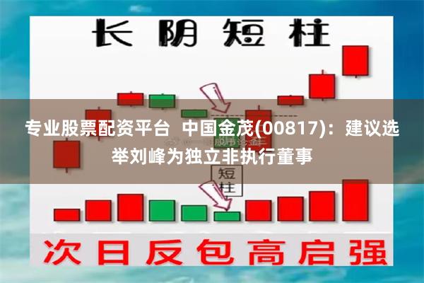 专业股票配资平台  中国金茂(00817)：建议选举刘峰为独立非执行董事