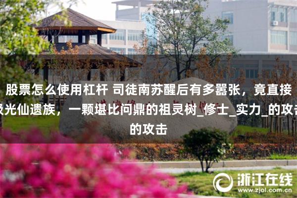 股票怎么使用杠杆 司徒南苏醒后有多嚣张，竟直接吸光仙遗族，一颗堪比问鼎的祖灵树_修士_实力_的攻击